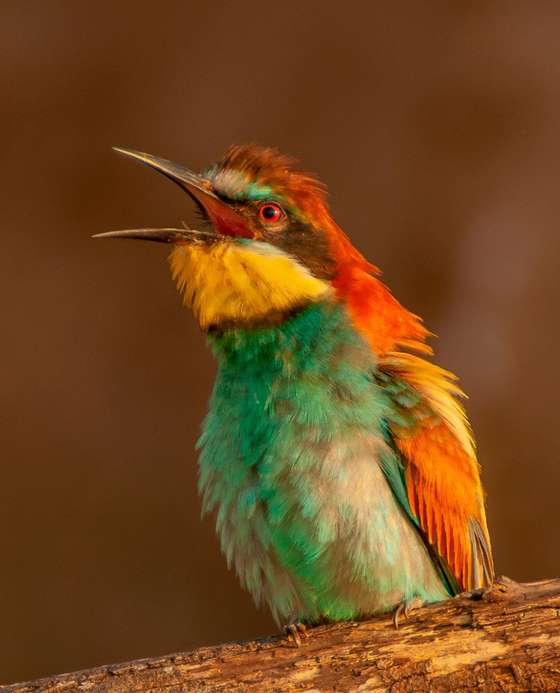 Fotografía de Jesús Rodriguez